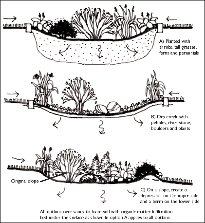 types of rain gardens
